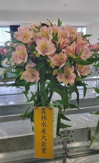 WEB【表紙】農林水産大臣賞.jpg