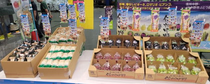P5_写真④中野市のきのことブドウ.jpg
