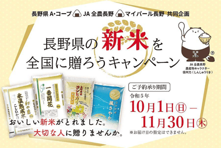 新しい画像 (17).png