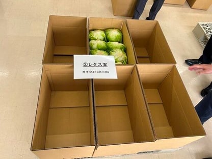 webP2 ①レタス.jpeg