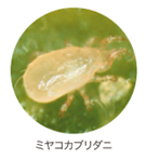P1_写真②.png