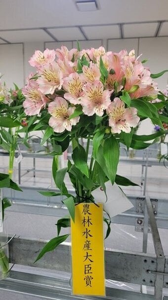 WEB【表紙】農林水産大臣賞.jpg