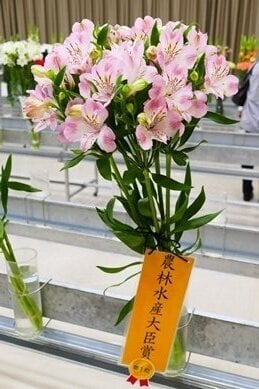 webフラワーショー(農林水産大臣賞).JPG