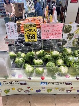 P7下_レタスり替え②.jpg