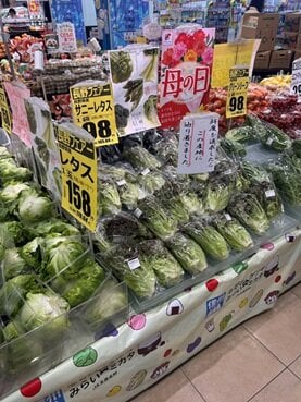 P7下_レタス切り替え①.jpg