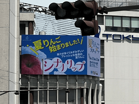 webP7_夏リンゴ5.png