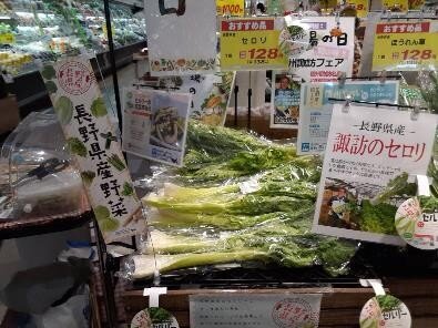 P3_写真②(セルリー).jpg