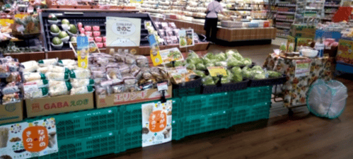 webP8 ②野菜と組み合わせた売り場.png