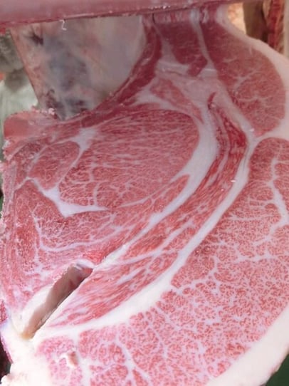 サムネイル【表紙】P2_②信州和牛枝肉共励会.JPG