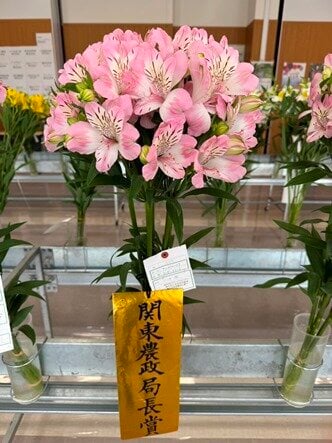 WEB【表紙】なんしんフラワーフェア.jpg