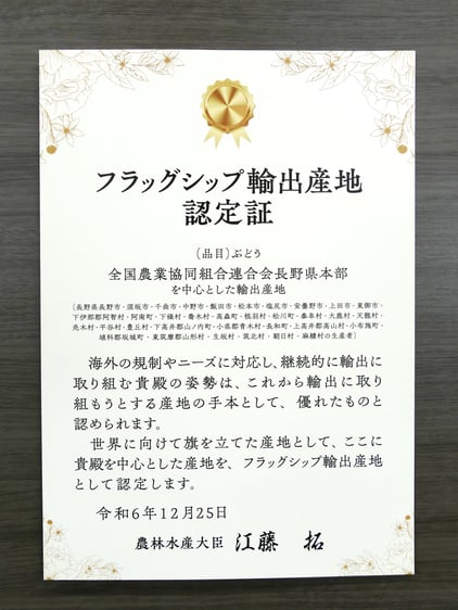P10 輸出フラッグシップ.JPG
