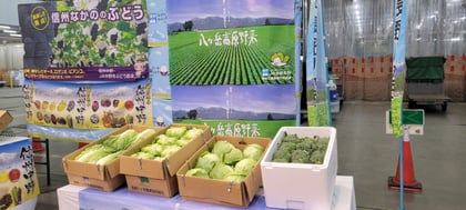 P5_写真③八ヶ岳の野菜.jpg