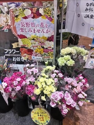 webP7 ②カーネーション祭り.JPG