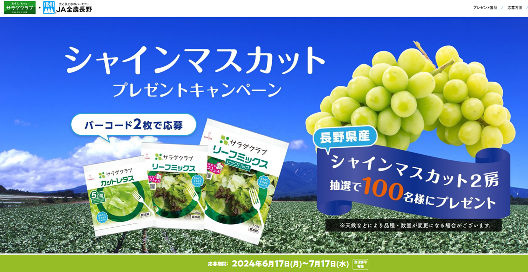 WEBP6上_サラダクラブ(シャインマスカット).png