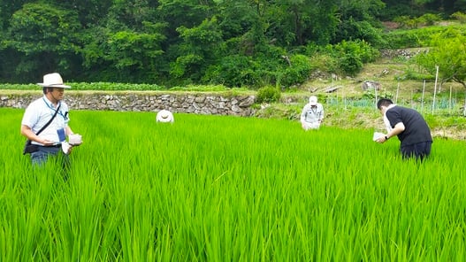 P1_東都生協生き物調査.jpg