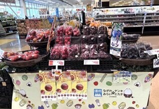 差し替えP12_デリシア(果実売り場).jpg
