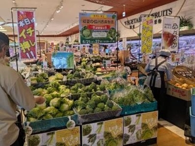 P3_写真③(レタス、ブロッコリー).jpg