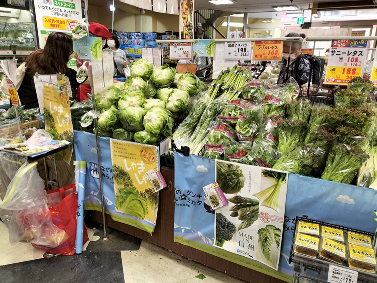 webP5-6下_レタスの日②.png