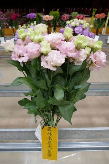 【表紙】農林水産大臣賞.jpg