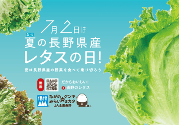 webP1-2写真② レタスの日POP.png