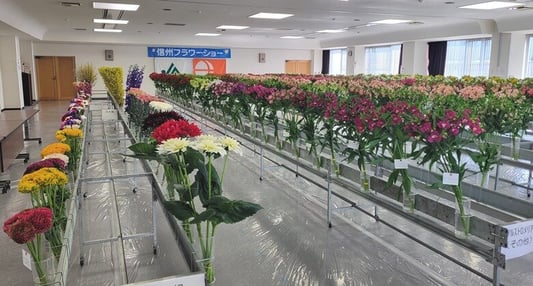 WEB信州フラワーショー01.jpg