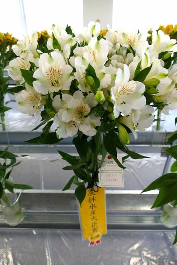 web写真①農林水産大臣賞.JPG
