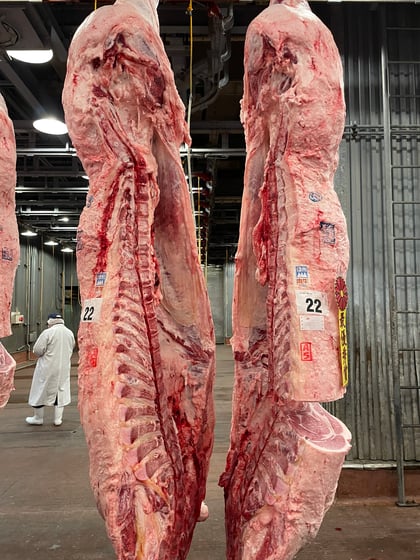 P7-8 写真⑤県共最優秀賞三岳牧場(枝肉全体).jpg