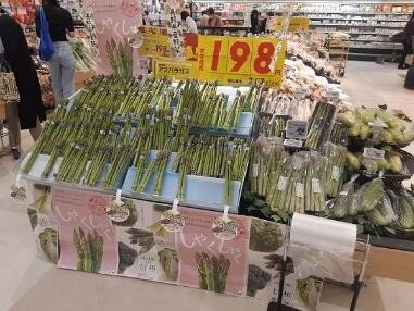 P3_写真①(アスパラ).jpg