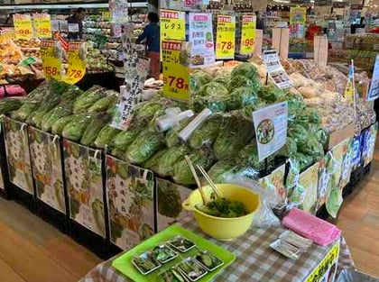 WEBP7下_写真②レタス.JPG