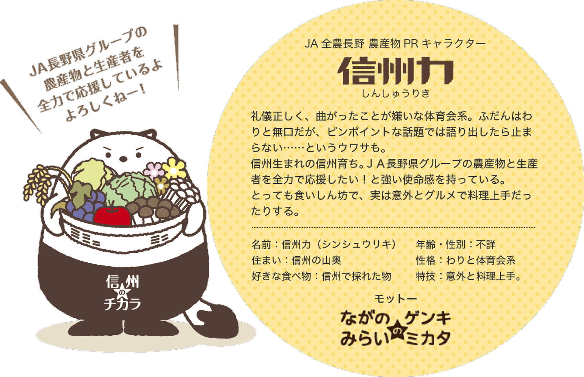 publications-shinshuriki