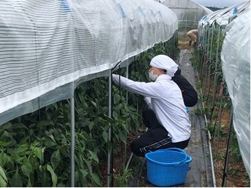 生産振興部の取組み