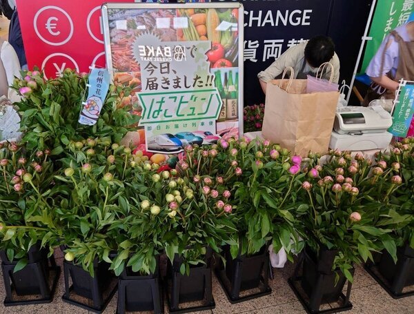 新幹線でシャクヤクを輸送　出荷当日店頭に