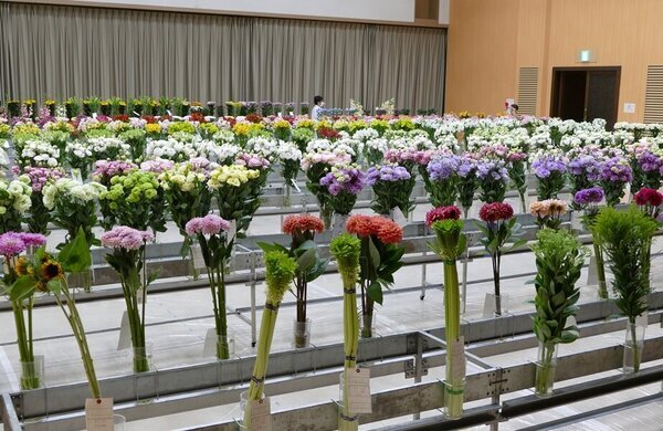 農林水産大臣賞に曽川とし子さん（JAグリーン長野）のトルコギキョウ～第53回　信州フラワーショーサマーセレクション～