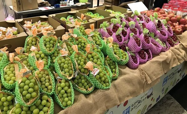 令和4年度 関西地区での果実の販売促進取組みについて