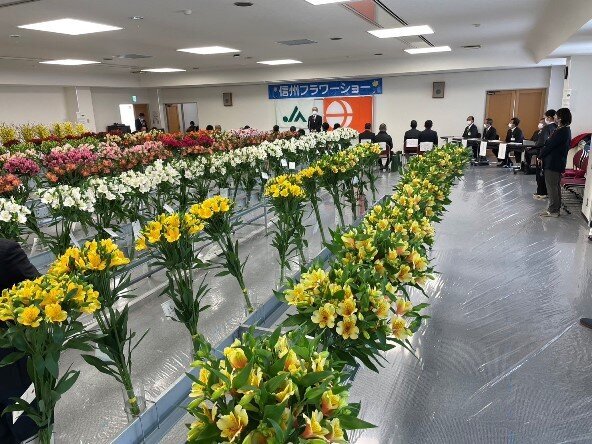 第52回信州フラワーショー ウィンターセレクション　～304点の花々が冬を彩る～