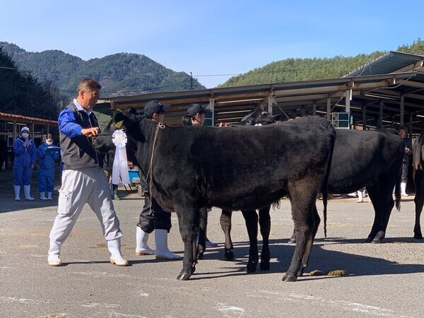 第76回長野県畜産共進会（種牛の部）農林水産省畜産局長賞にJA長野八ヶ岳の古原敬久さん