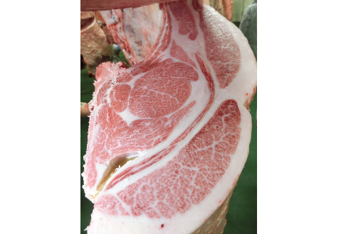 京都食肉市場(株)にて「第35回信州和牛枝肉共励会」開催