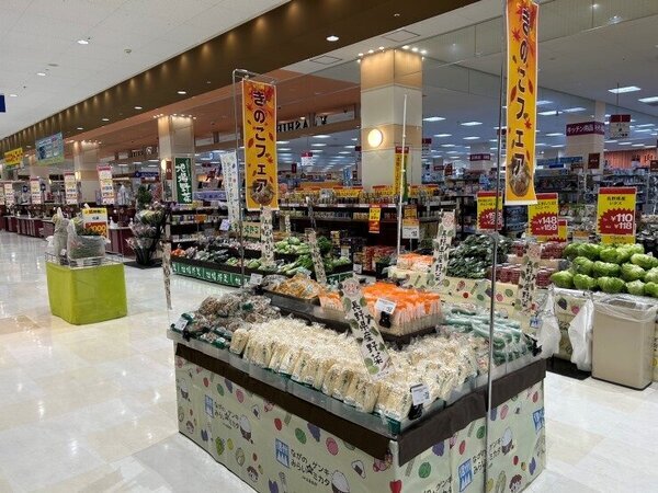 きのこ販売推進の取組みについて