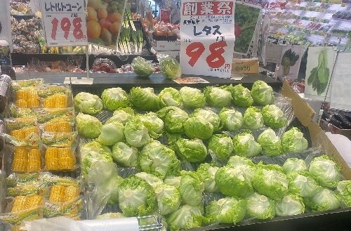 いよいよ野菜シーズン！名古屋市内でレタスの重点販売