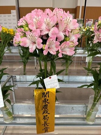 2024なんしんフラワーフェア　関東農政局長賞に小池潤さん(JA信州諏訪)のアルストロメリア