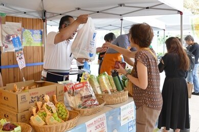 豊洲市場「千客万来」で県産をPR