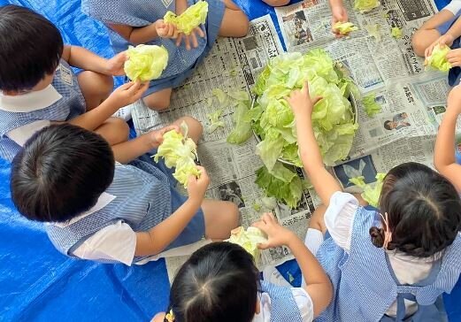 福岡県内の幼稚園で食育
