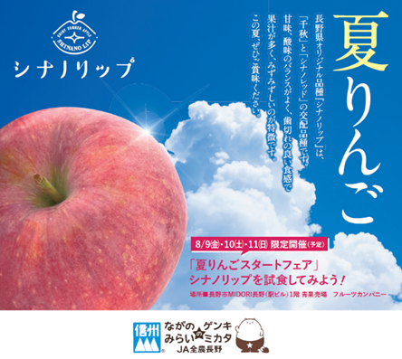 夏リンゴ「シナノリップ」スタート