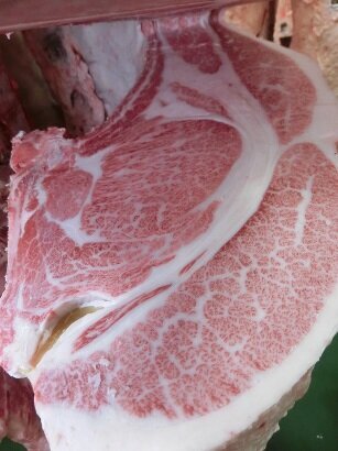 第45回信州和牛(県内産)枝肉共励会～最優秀賞にJAみなみ信州(株)夢ファームみなみ信州高森農場～