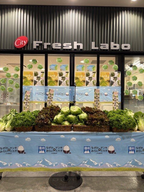 豊洲市場「フレッシュラボ」でレタスの試食宣伝会