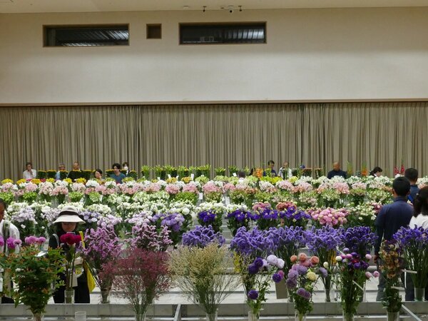 農林水産大臣賞に有賀美和さん（JA上伊那）のアルストロメリア～第55回 信州フラワーショーサマーセレクション～