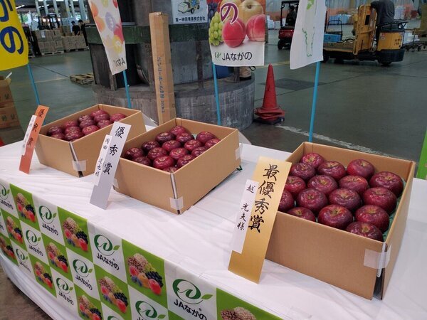 ＪＡながの産リンゴ「秋映」トップセールスを開催