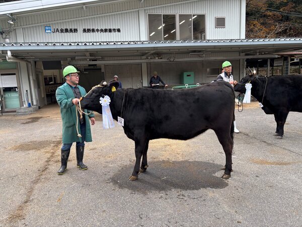 第78回長野県畜産共進会（種牛の部）～農林水産省畜産局長賞にJA松本ハイランドの(有)高原牧場～