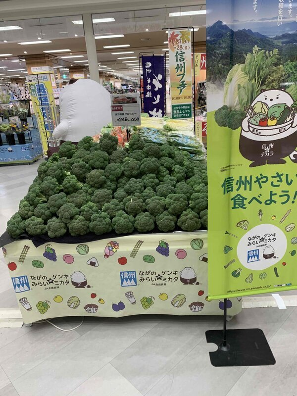 令和 7 年度　野菜販売促進の取り組みについて