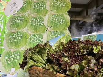 令和 7 年度　野菜販売促進の取り組みについて